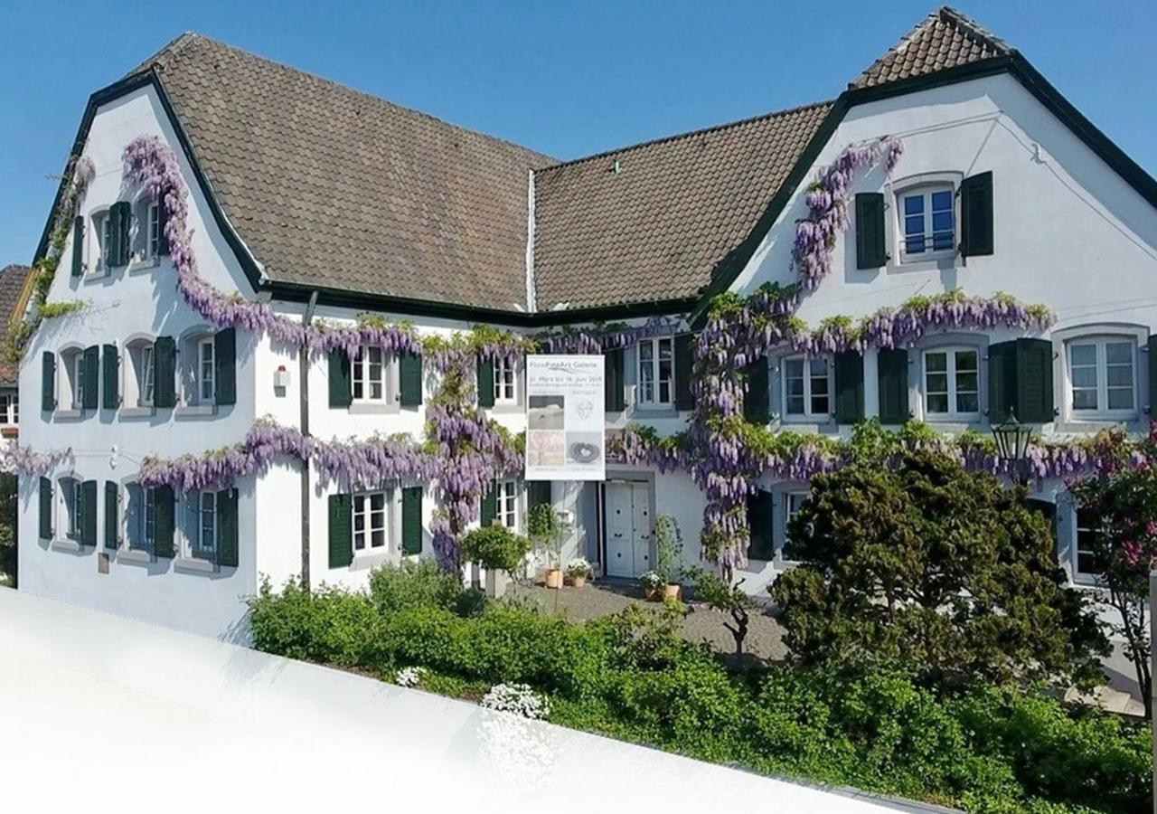 Rhein River Guesthouse - Direkt Am Rhein เลเวอร์คูเซน ภายนอก รูปภาพ