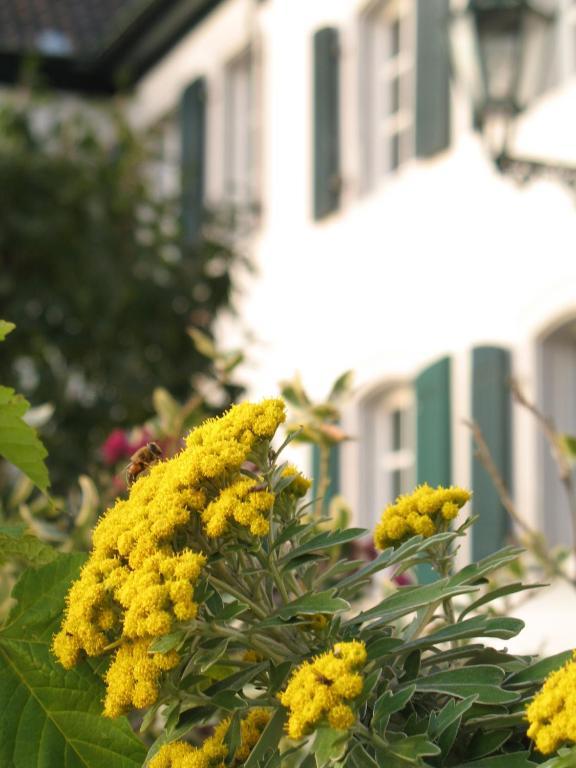 Rhein River Guesthouse - Direkt Am Rhein เลเวอร์คูเซน ภายนอก รูปภาพ