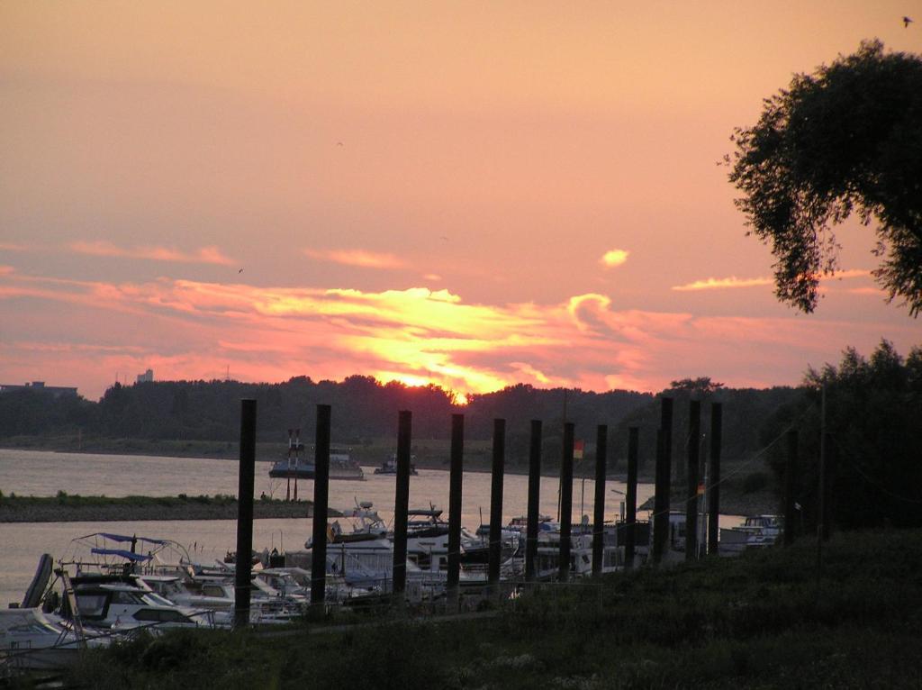 Rhein River Guesthouse - Direkt Am Rhein เลเวอร์คูเซน ภายนอก รูปภาพ