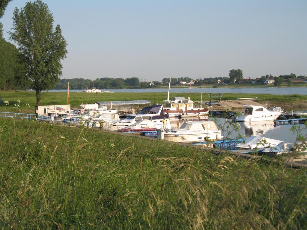 Rhein River Guesthouse - Direkt Am Rhein เลเวอร์คูเซน ภายนอก รูปภาพ