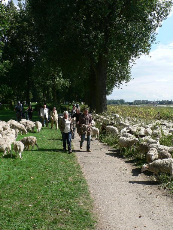 Rhein River Guesthouse - Direkt Am Rhein เลเวอร์คูเซน ภายนอก รูปภาพ